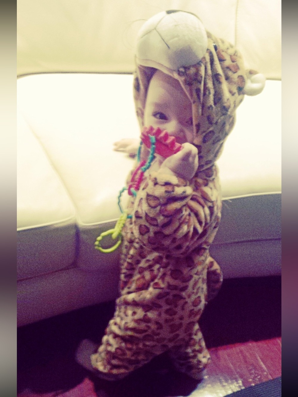 Leopard Print Hooded Infant Costume